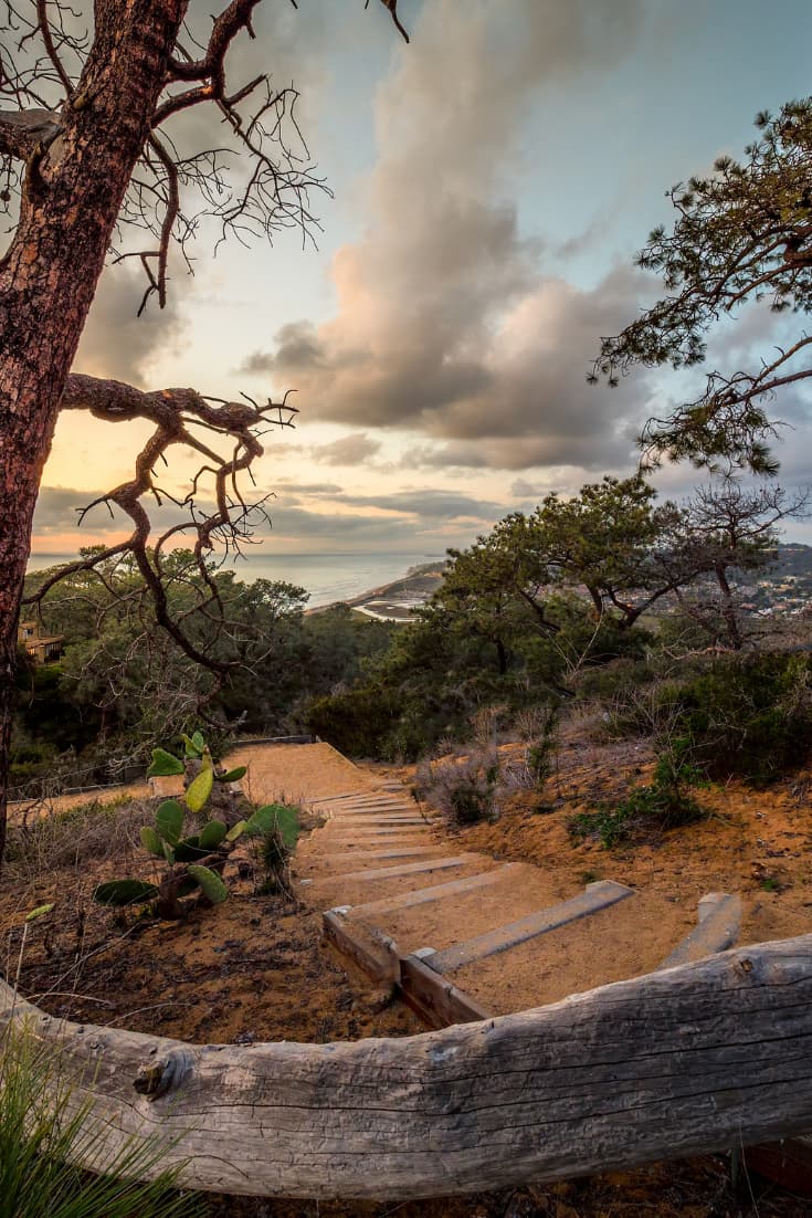 Torrey Pines scenery