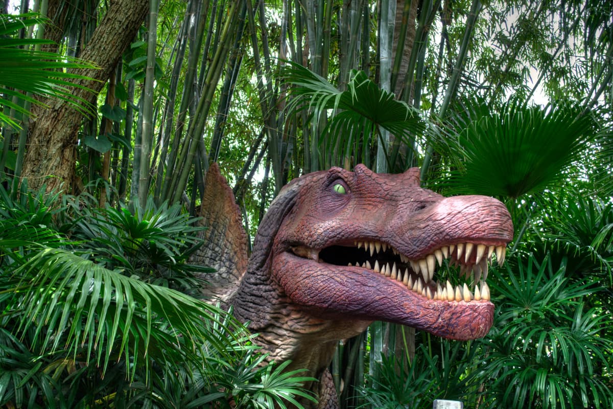 Universal Raptor Experience What to Do at Universal Orlando Resort With Kids