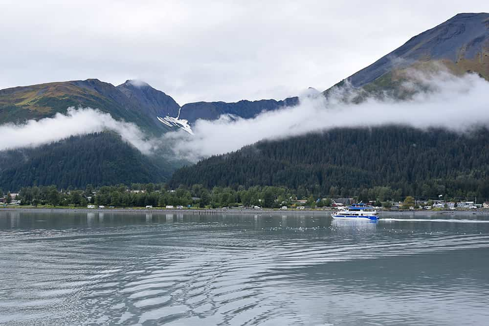 Ultimate Guide to Planning a Resurrection Bay Cruise - Seward, Alaska