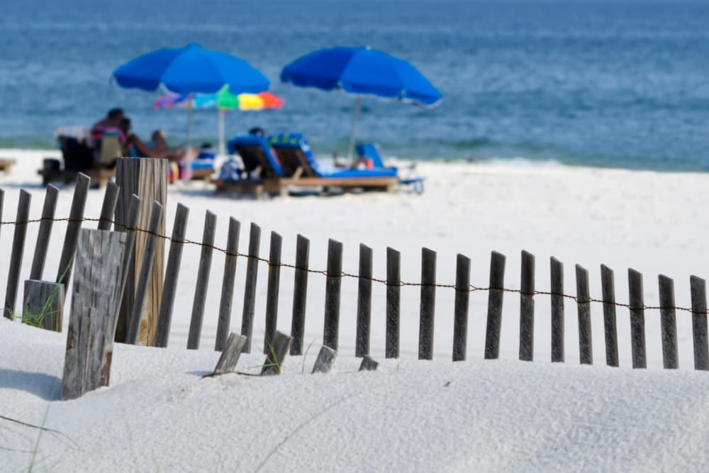 guld shores beach - umbrella with loungers on beach