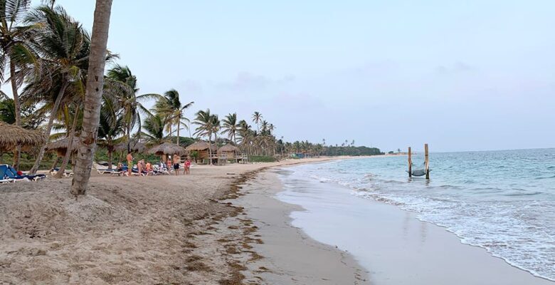 large family on beach