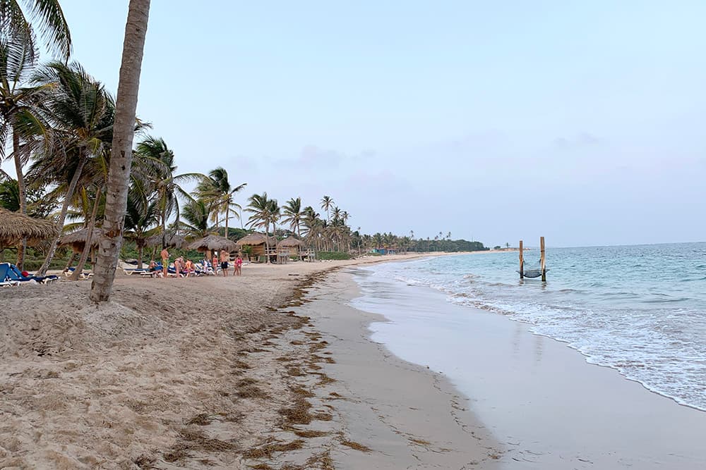 large family on beach