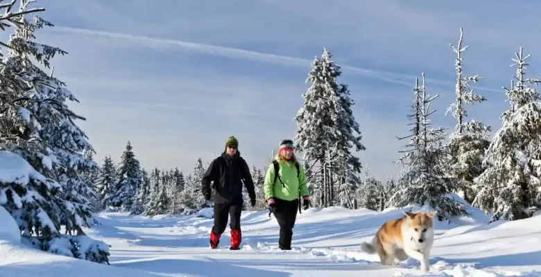 couple hiking snow trail with dog