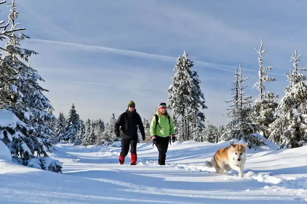 couple hiking snow trail with dog