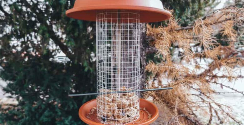 wire mesh bird feeder
