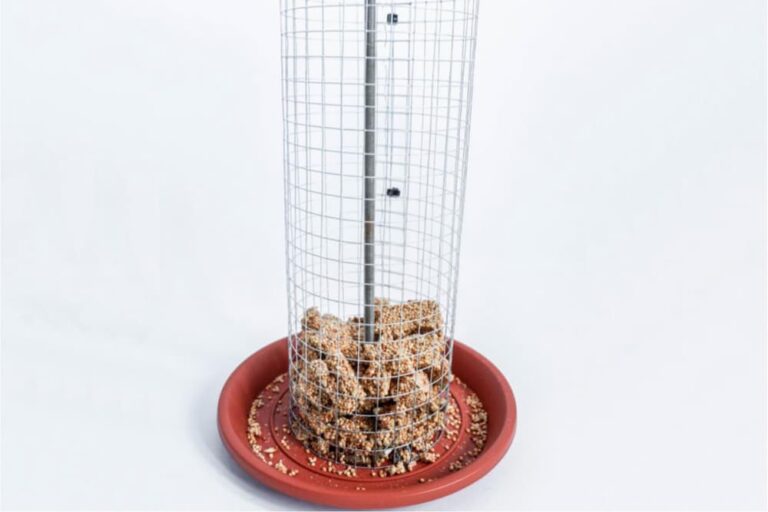DIY Wire Mesh Bird Feeder