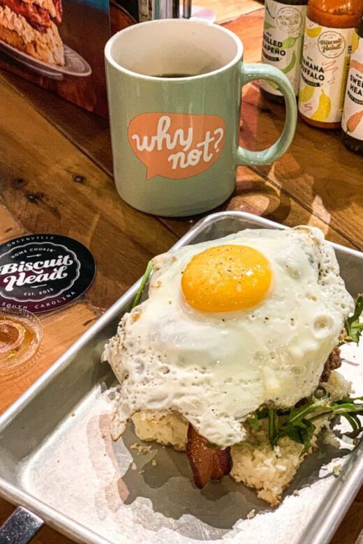 Greenville, SC Attractions To Experience with Your Family