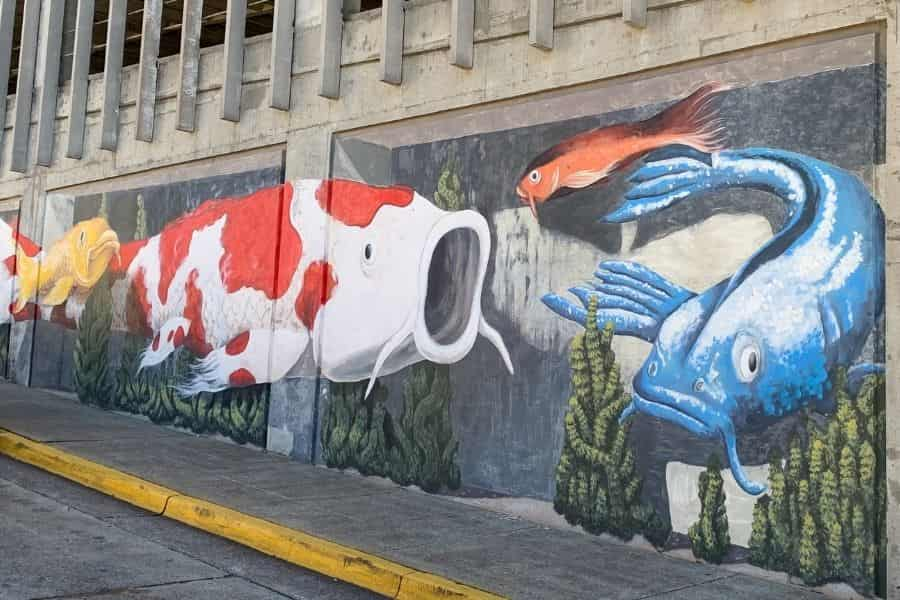 Koi Mural