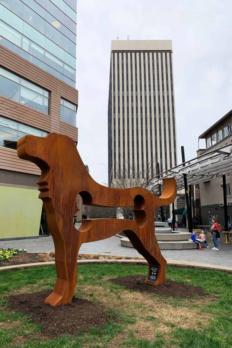 Greenville, SC Attractions To Experience with Your Family