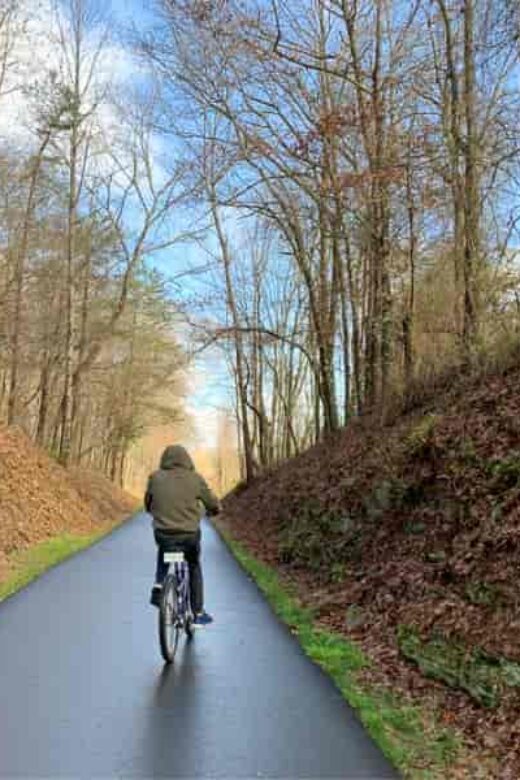 Explore Your World amp Have No Child - Outside Greenville Swamp Rabbit Trail 520x780 