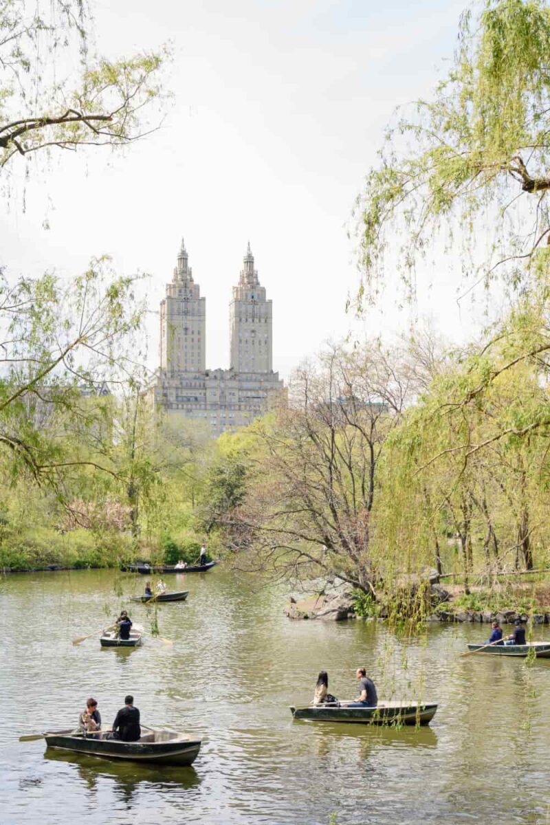 Row boats on the lake inside New York City