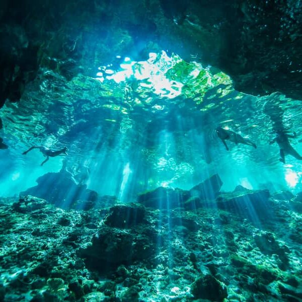 diving in Cancun