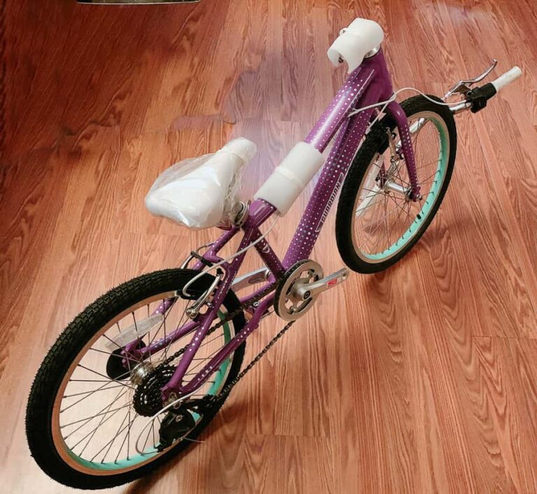 Why the Guardian Bikes 20" Airos is the Best Bike for a 7YearOld (Review)