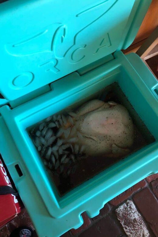 Everything You Ever Wanted to Know on How to Smoke a Turkey in a Gas