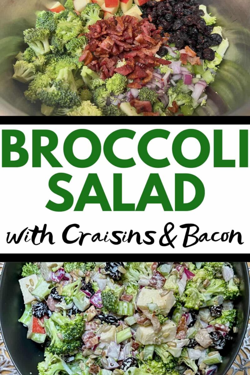 broccoli craisin bacon salad in a bowl