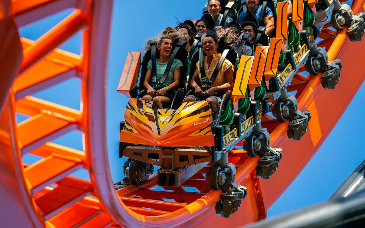 Tigris roller coaster Busch Gardens Tampa Pay