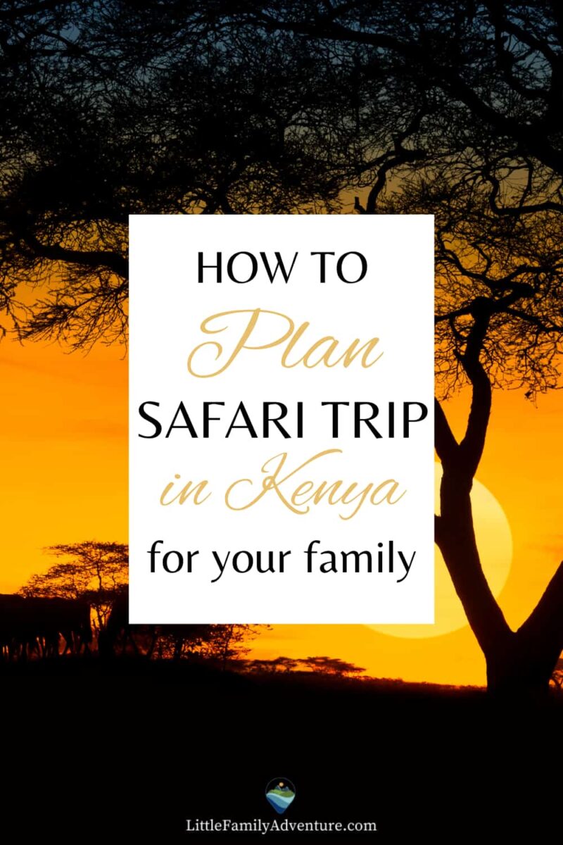 Plan the Perfect Family Safari in Kenya Follow Our Tips for Firsttime Safari Planners