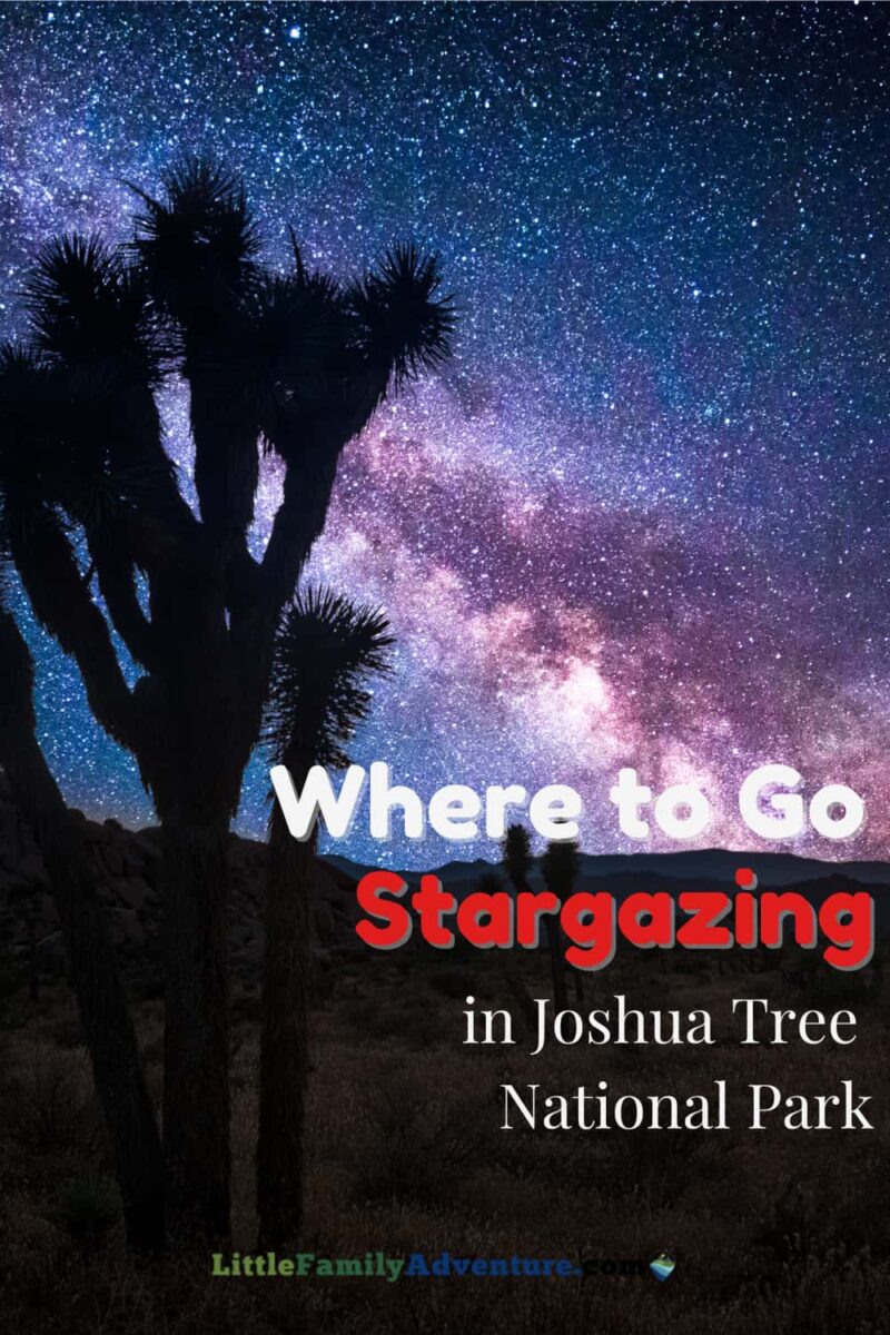 milky way and Joshua tree