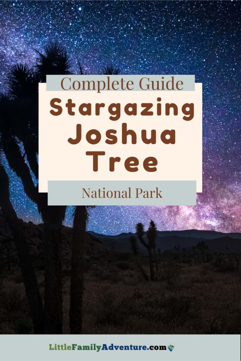 starry sky above Joshua trees