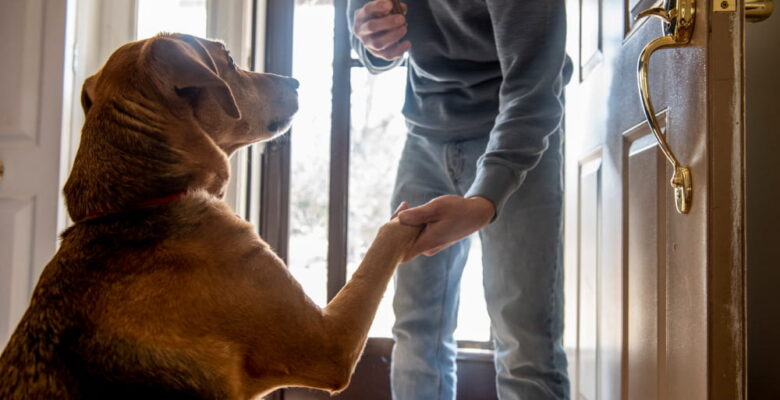 dog greeting man at the door
