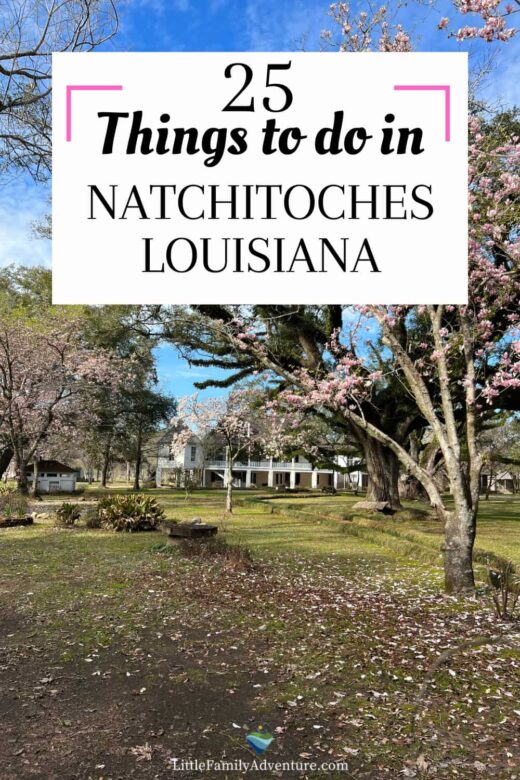 Guide to the Best Things to Do in Natchitoches, Louisiana for Families