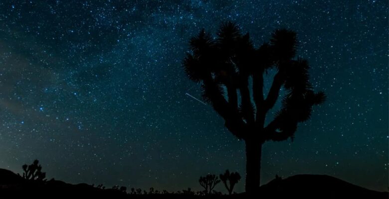 Stargazing Joshua Tree