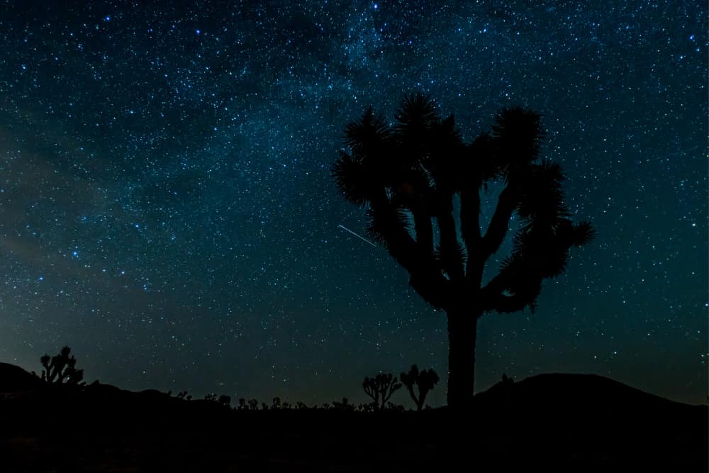 Stargazing Joshua Tree