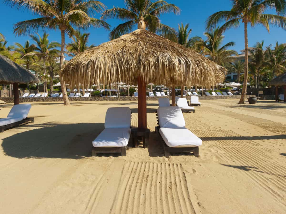 sun loungers under a grass umbrella in Los Cabos