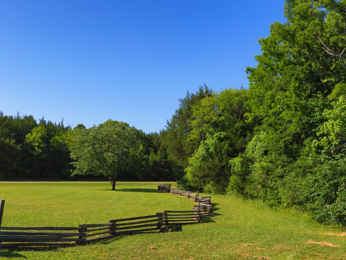 Experience the Best of Mississippi: 30 Fun Family Activities with Teens