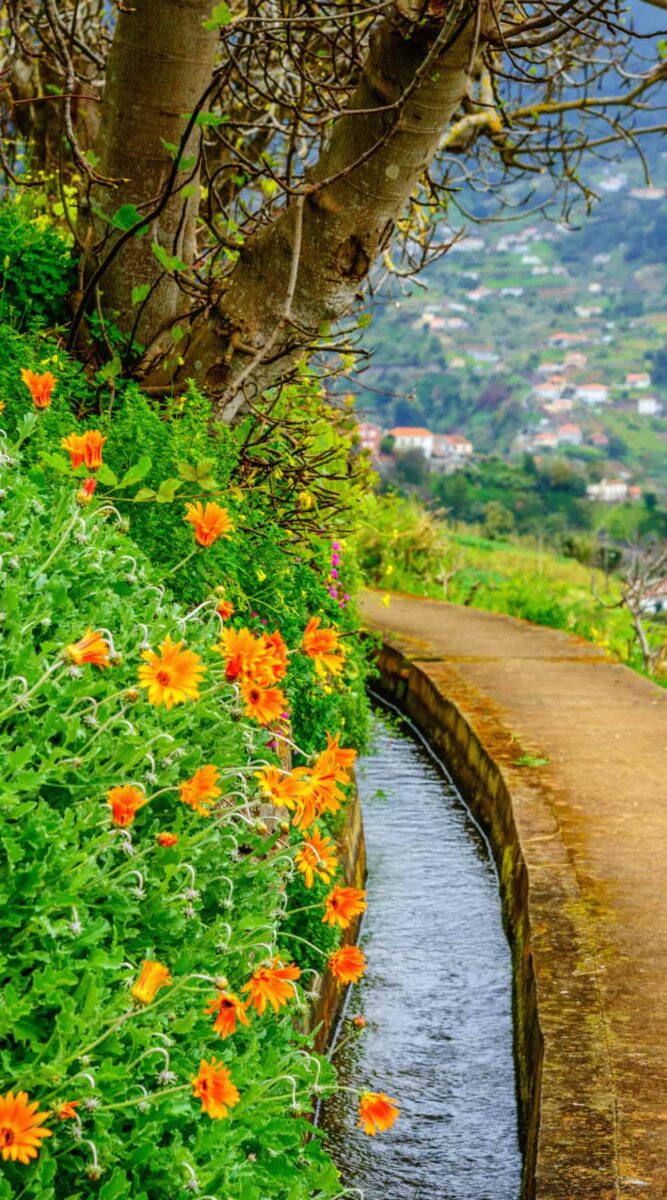 Levada Walk Madeira