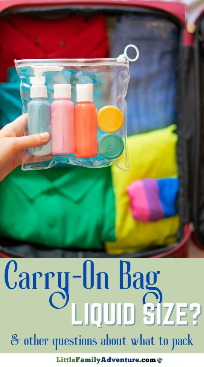 How to pack a 3-1-1 liquids bag for a long trip — travel. paint