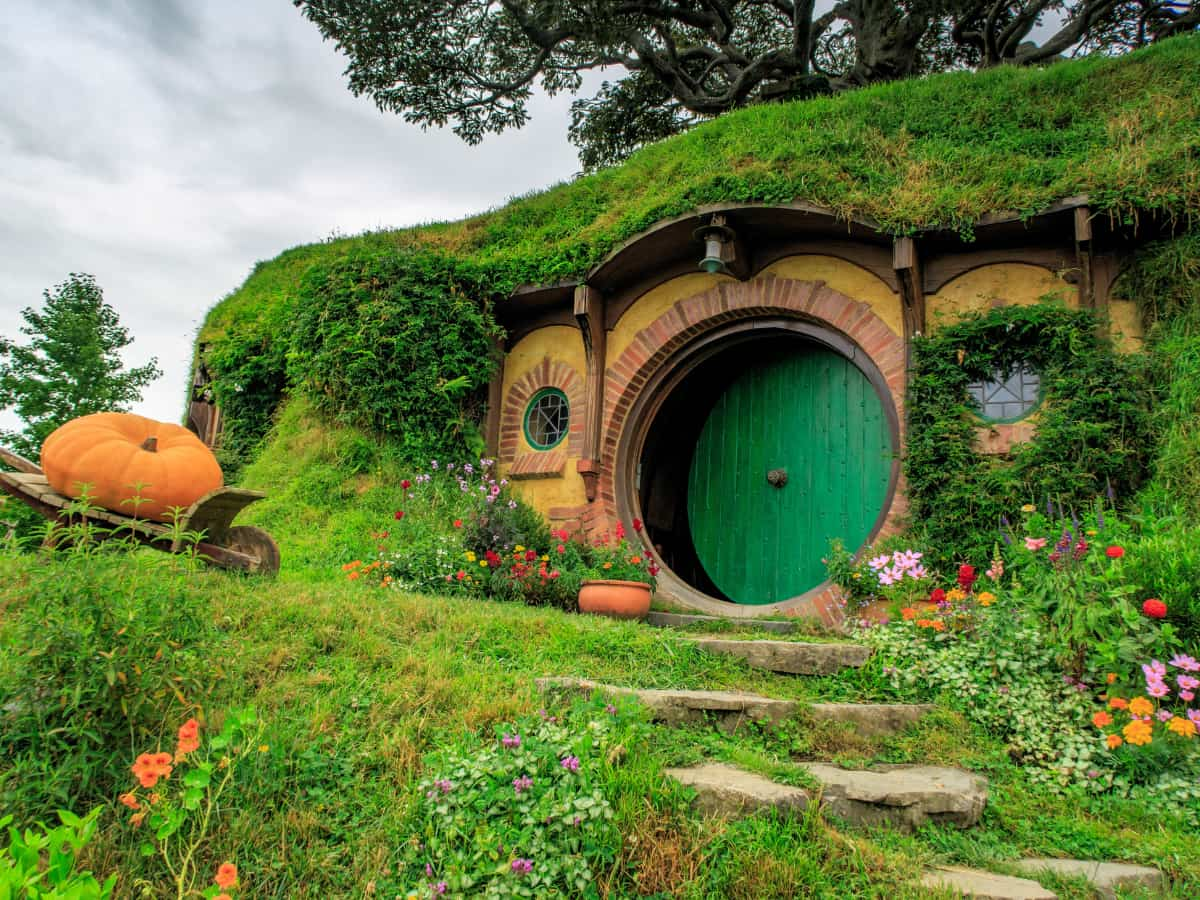 The hobbiton home movie set image