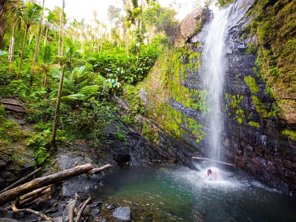 Juan Diego Falls at El Yunque Rainforest Puerto Rico