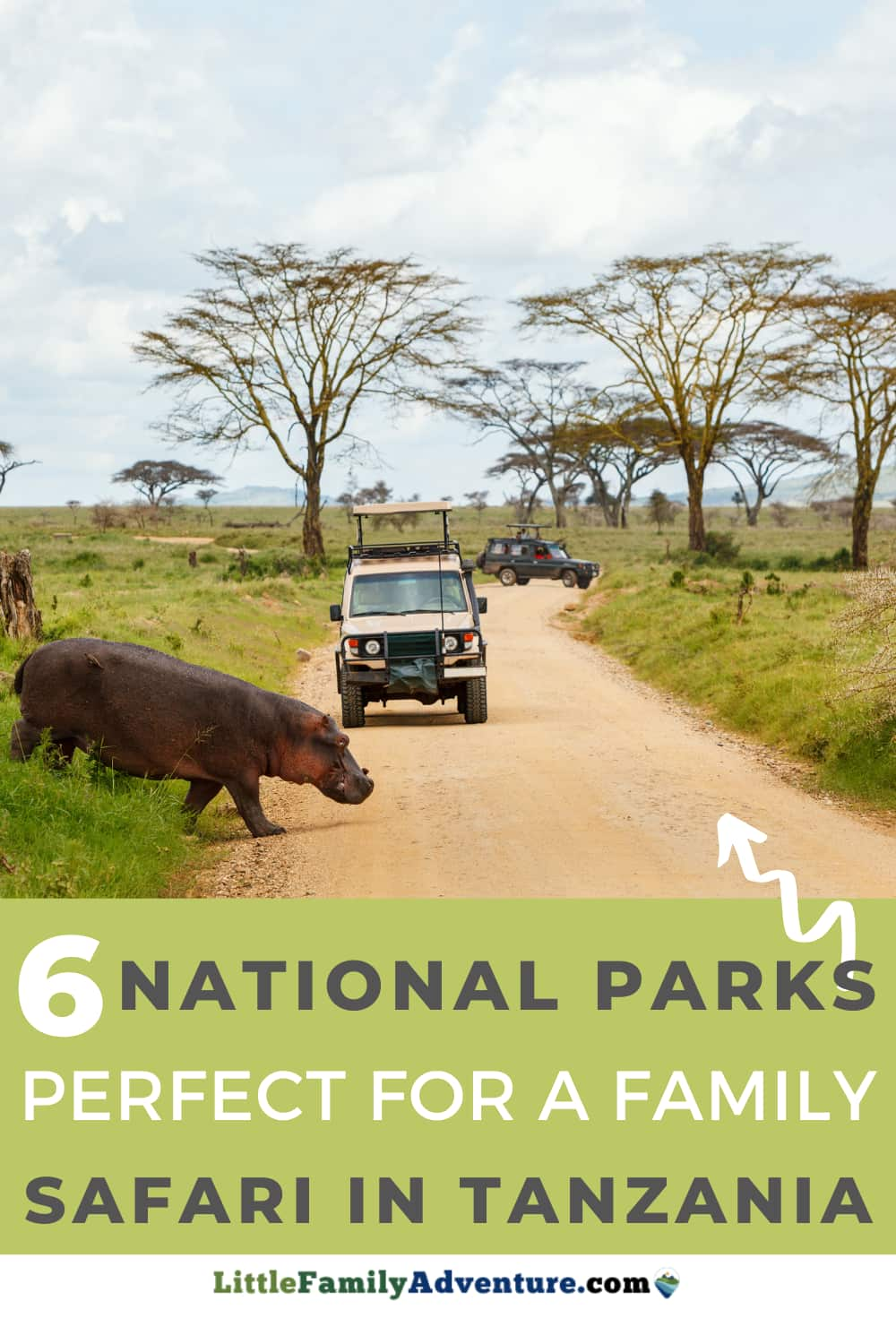 Family Safari Escapes: Discovering the Best National Parks in Tanzania