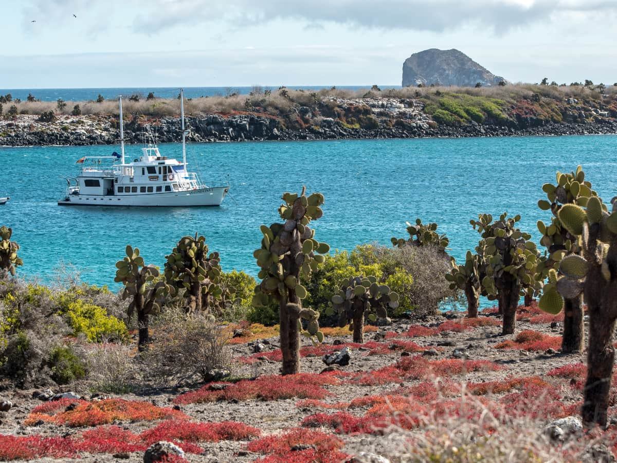 cruise boat in bay of South Plaza Island, Galapagos