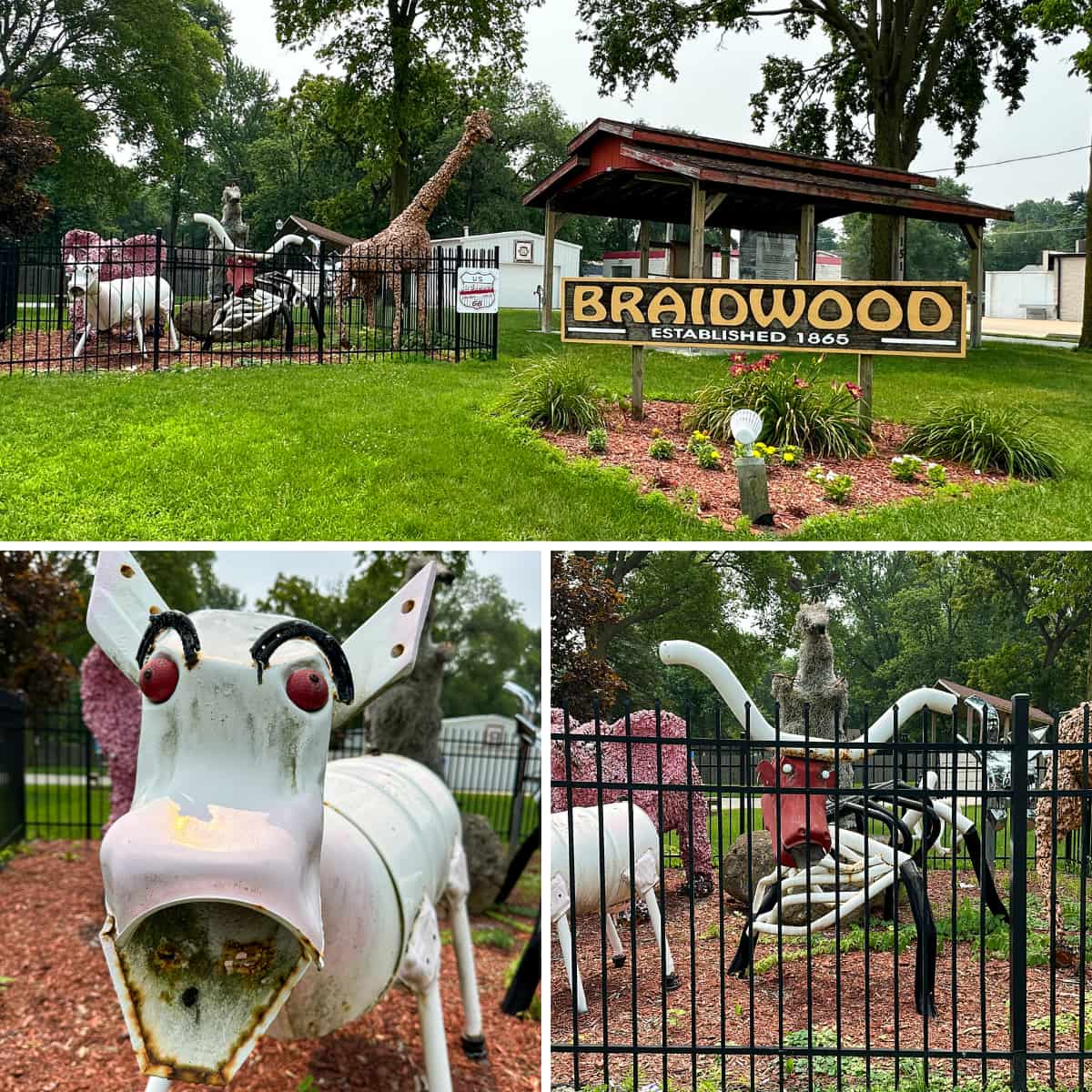 Braidwood Zoo animals 