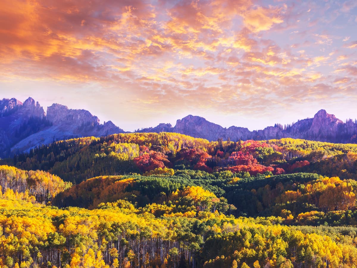 Fall foliage in Colorado