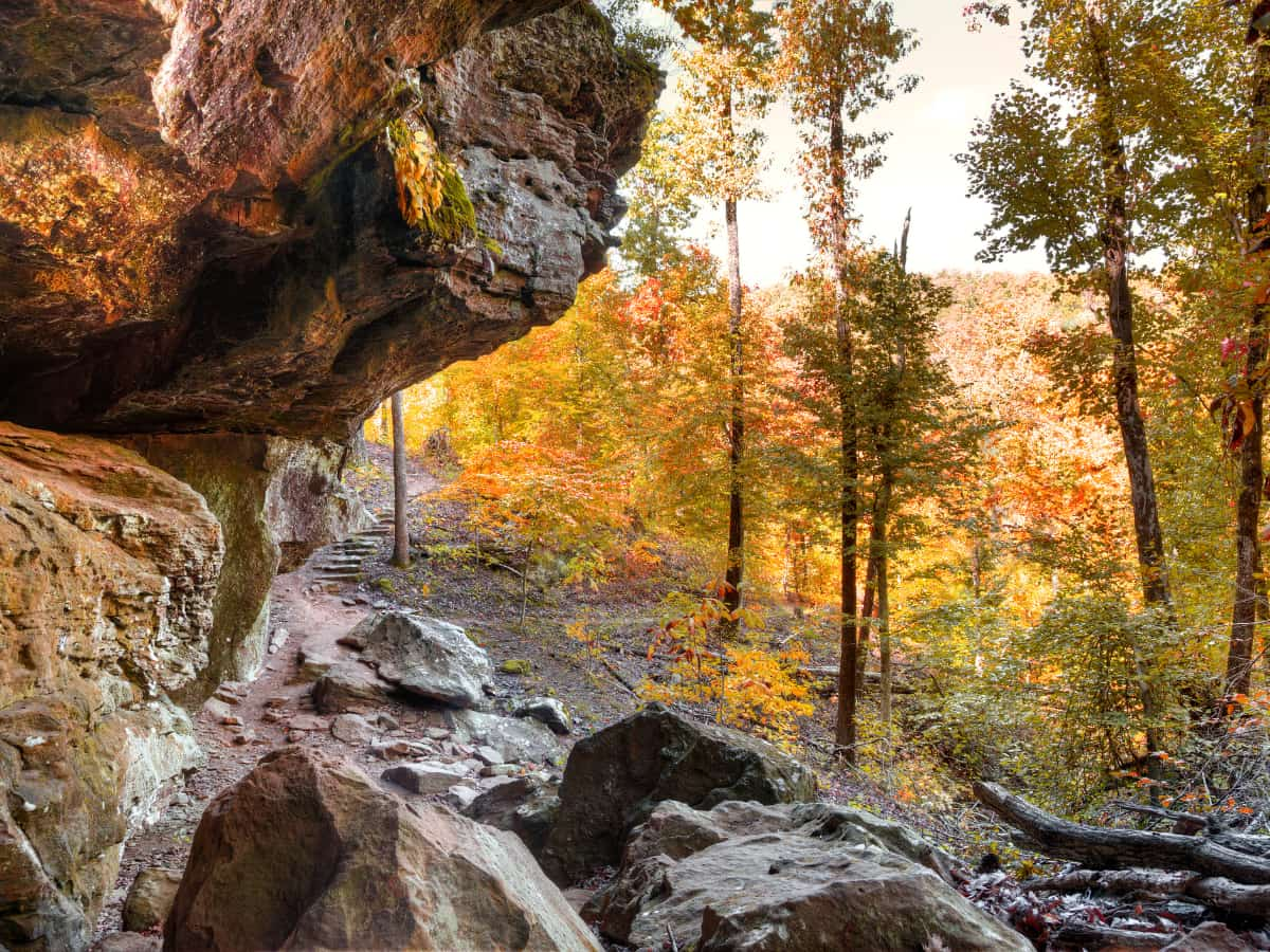 Ozark National Forest outside Hot Springs Arkansas