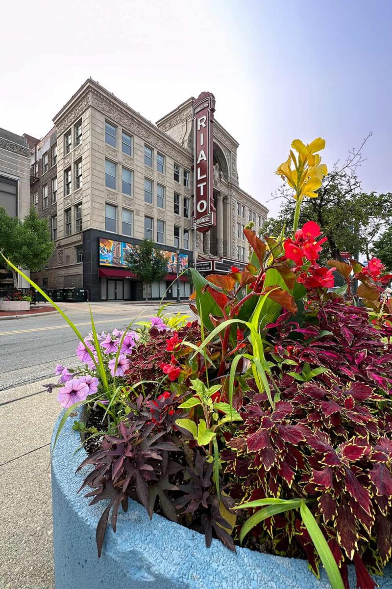 Rialto Square Theater with flower pot in front
