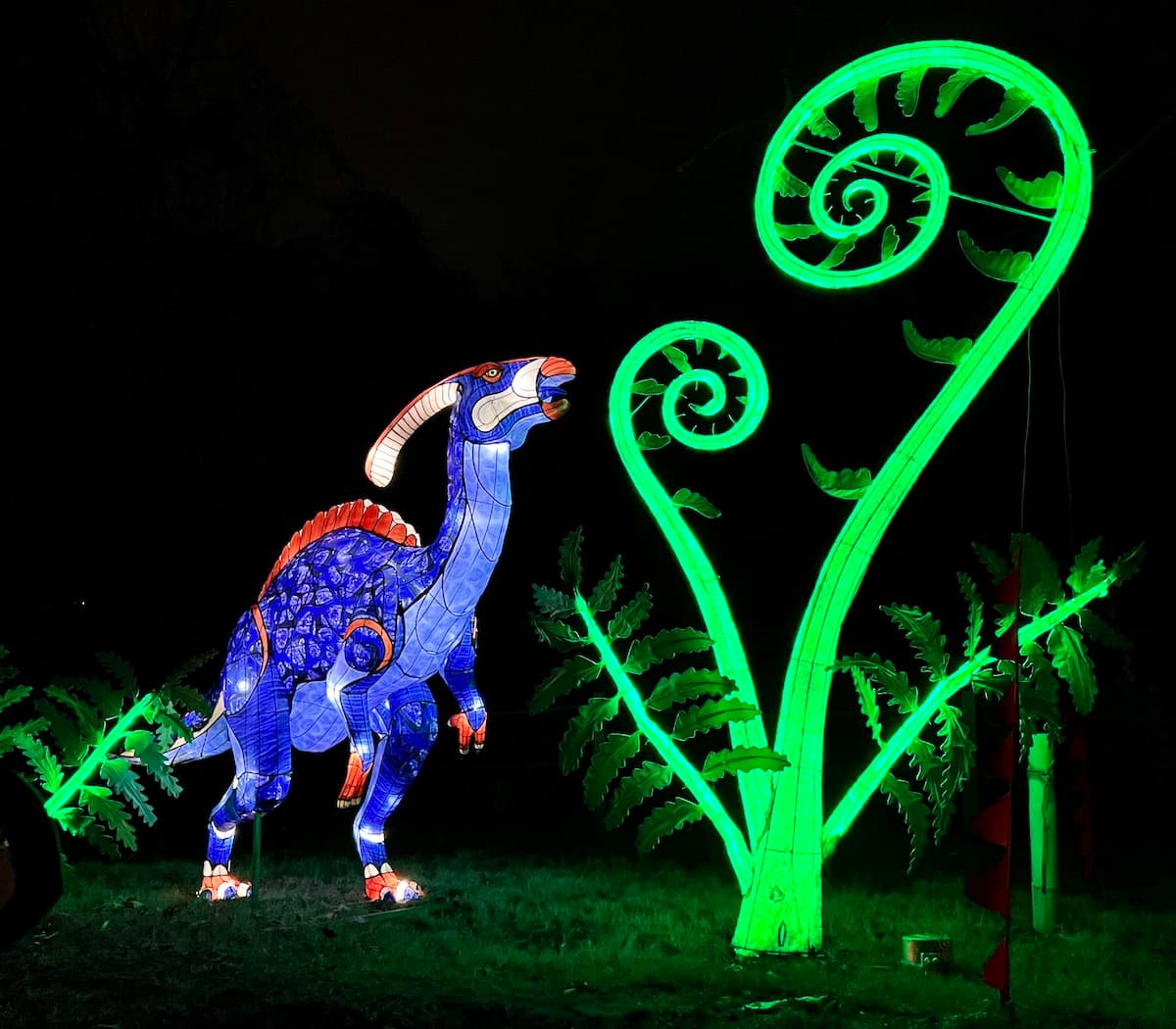 OKC Zoo Safari Lights dinosaur light display