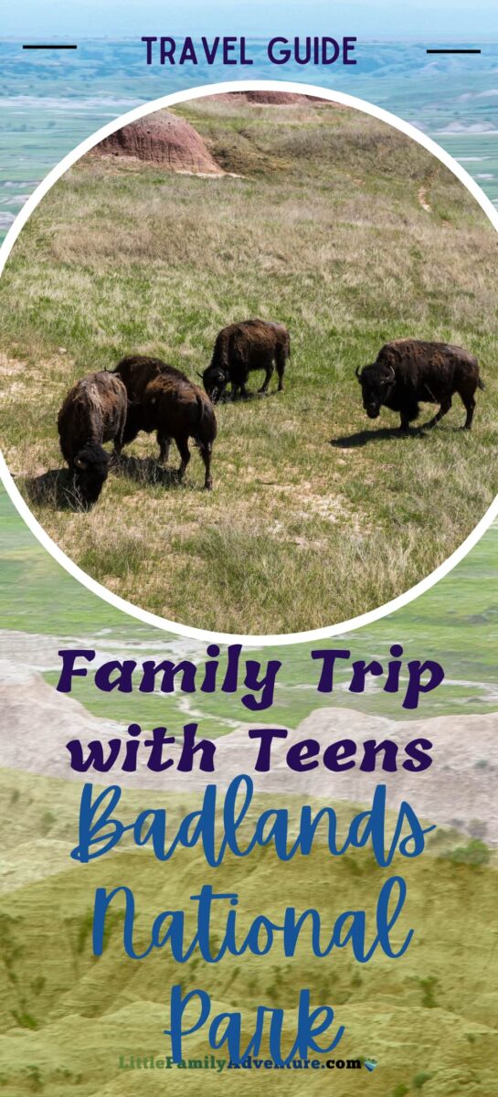 travel guide for family travel to Badlands National Park