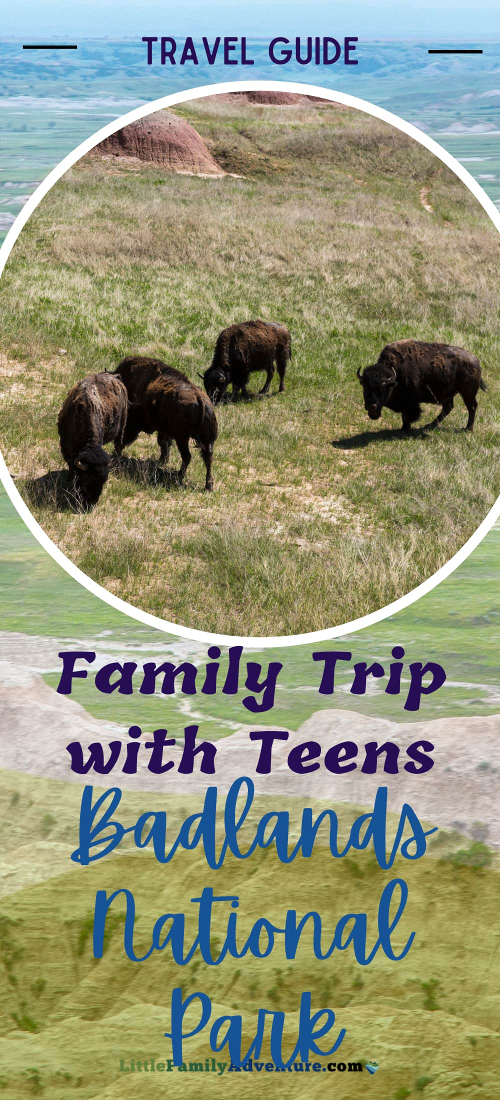 Discovering the Badlands with Teens: Ultimate Family Travel Guide