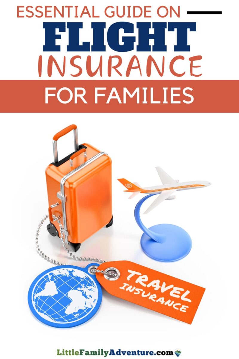 essential guide on flight insurance