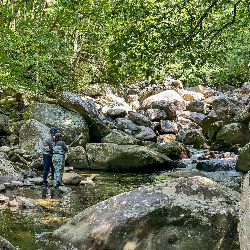 Nicky fly fishing Little Pigeon River Smokey Mountains National Park 