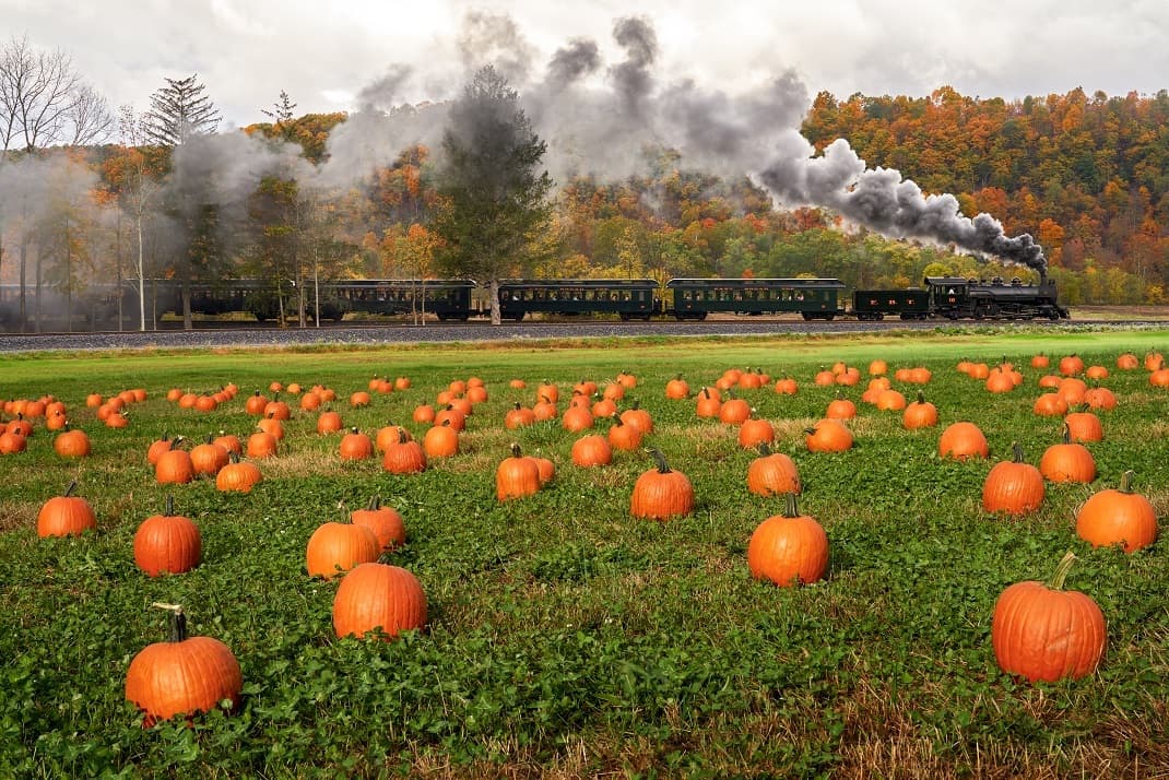 railroad locomotive behind a pumpkin patch