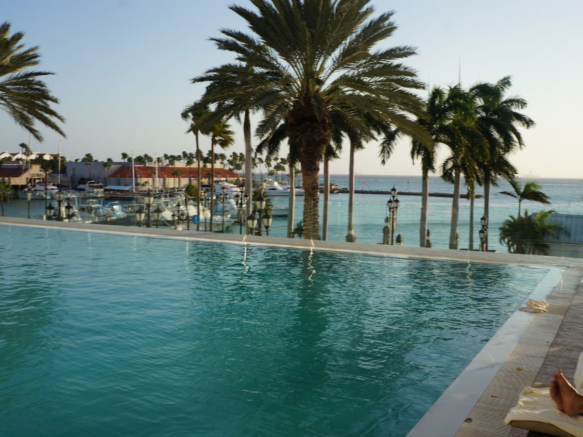 aruba villa infiity pool view