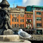 O Connoll Bridge with seagull on ledge