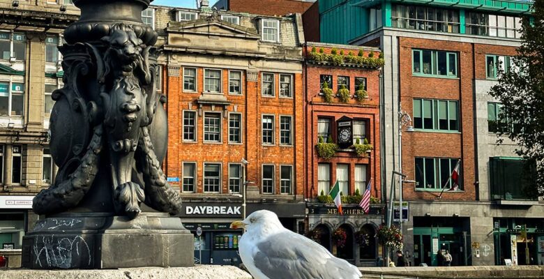 O Connoll Bridge with seagull on ledge