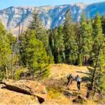 Vail Colorado hiing with llama