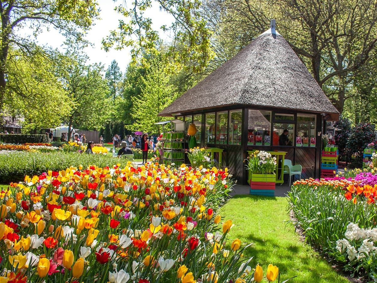 tulips and gazebo at Keukenhof
